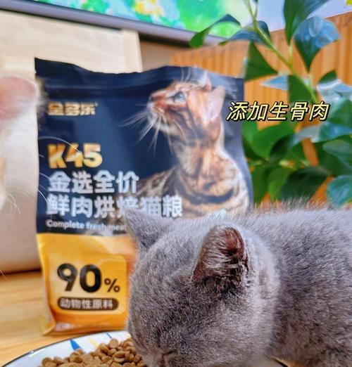 猫咪吃什么发腮猫粮?往猫粮里面倒水怎么办?