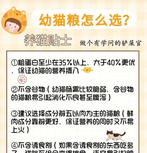 如何选择适合猫咪的猫粮？