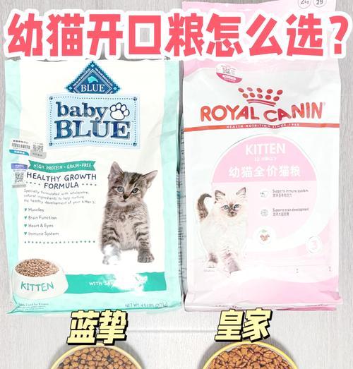 喂皇家英短猫粮还需要补充什么？
