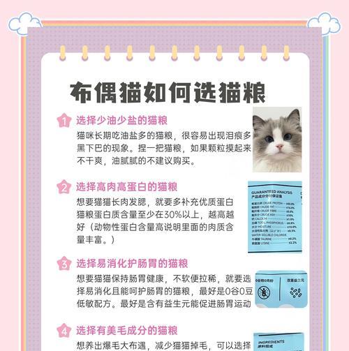 布偶猫专用的猫粮盆子有何特点?如何选择合适的猫粮盆子?