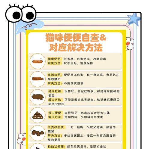 猫不怎么吃猫粮拉肚子?这是什么原因导致的?