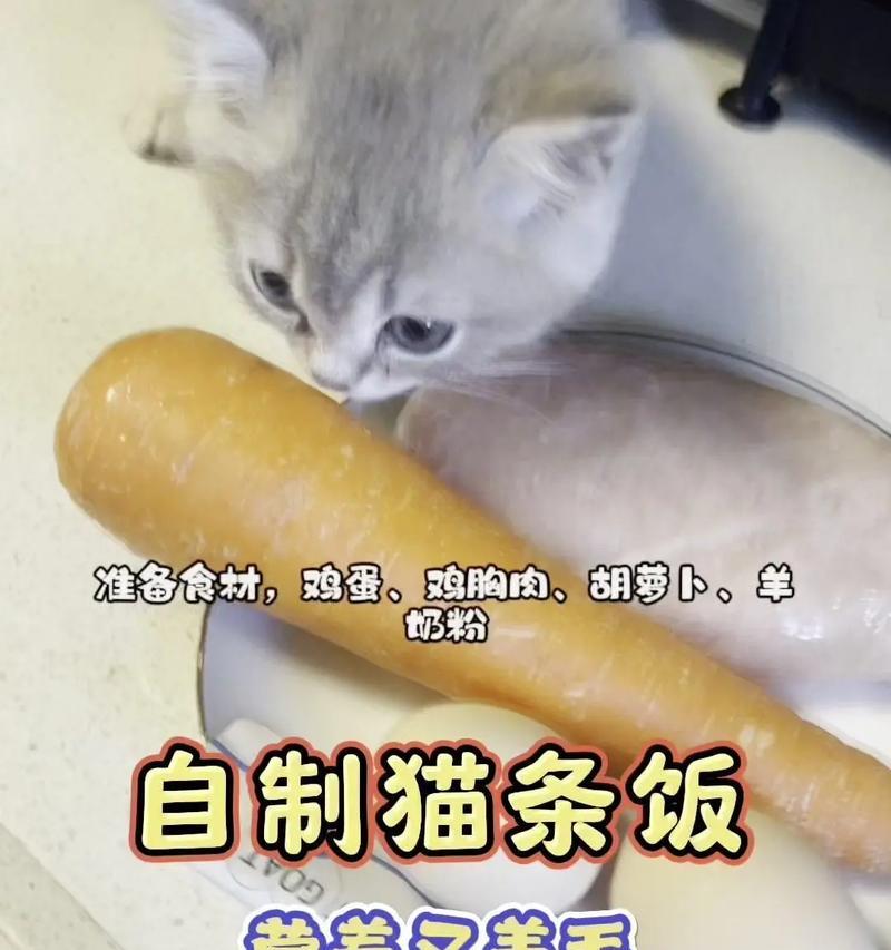 如何用猫条和猫粮制作猫咪营养餐?