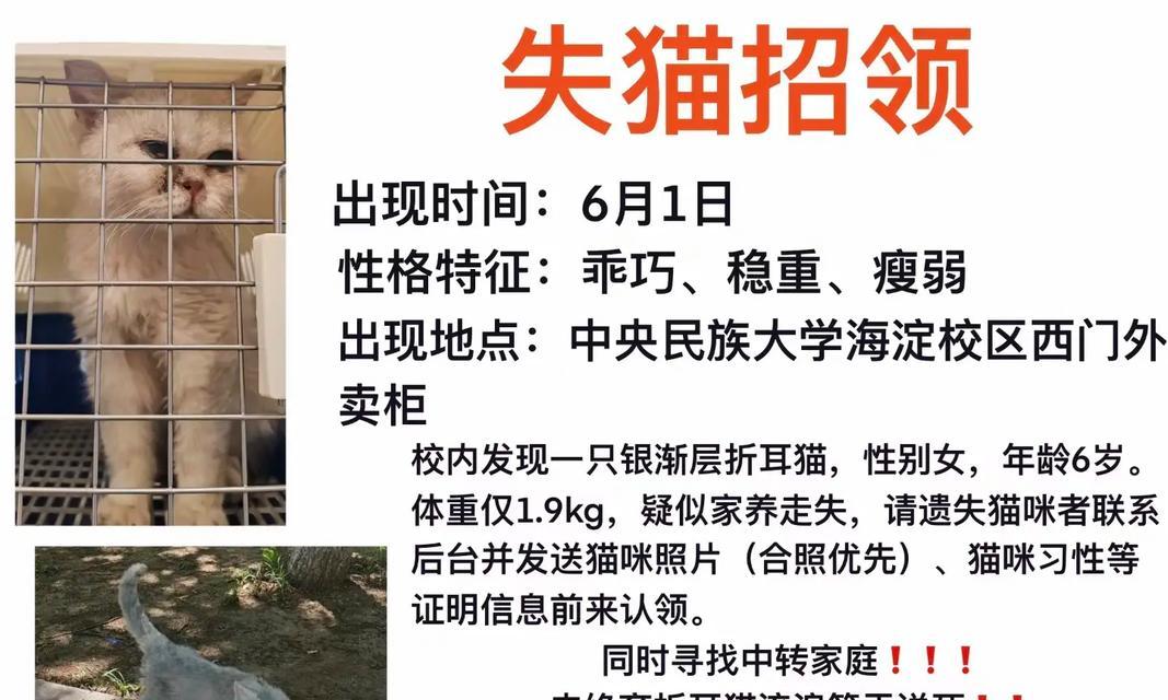 赠送救助猫粮是否违法？遇到此类问题应如何处理？