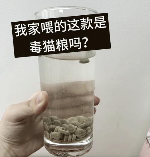 泡水猫粮如何制作更易消化？