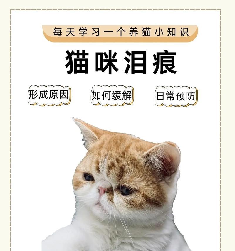 猫小闹猫粮吃完有泪痕怎么回事？是否是猫粮不适合？