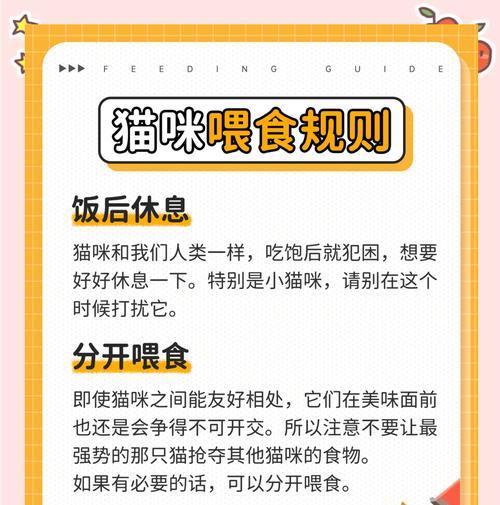 猫咪独自在家时如何正确喂食猫粮?
