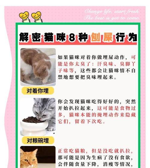 小猫闻猫粮埋屎行为的原因是什么?