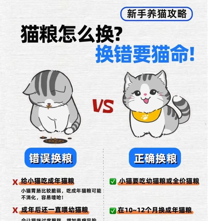 小猫换猫粮的方法是什么？需要注意什么？