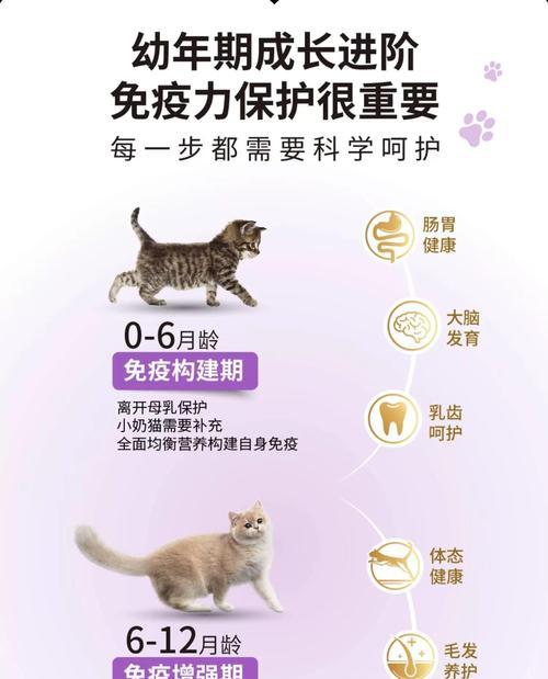 猫猫抢食他人猫粮的原因是什么？