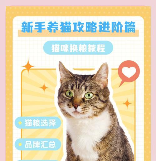 小猫频繁更换猫粮的原因是什么？如何稳定猫咪的饮食习惯？