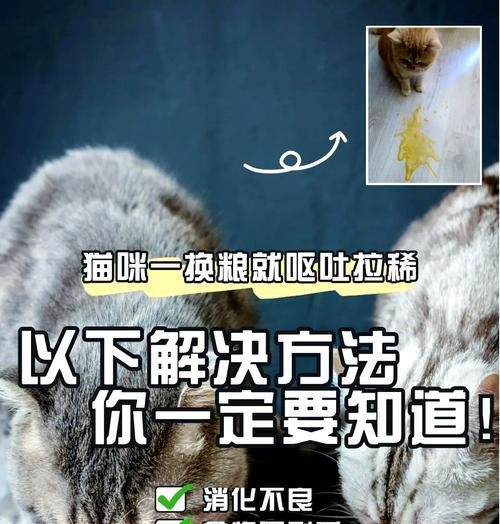 猫每天等着出猫粮是什么原因？如何解决这个问题？