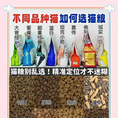 如何挑选不掺土的猫粮？挑选猫粮时应注意哪些成分？
