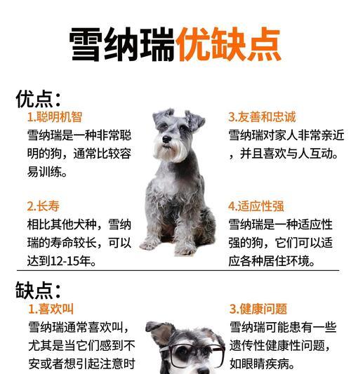 江苏雪纳瑞的价格是多少？购买时需要注意什么？