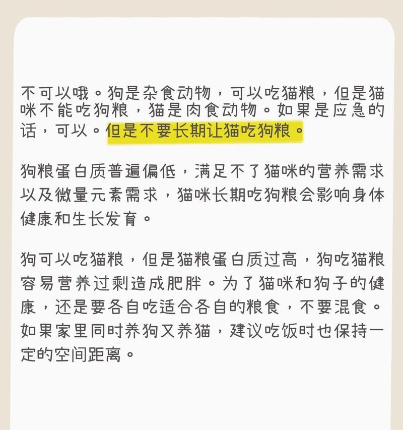 猫不吃猫粮喜欢玩什么？如何引导猫咪正确饮食？