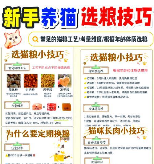 怎么用锅做猫粮？有哪些步骤和注意事项？