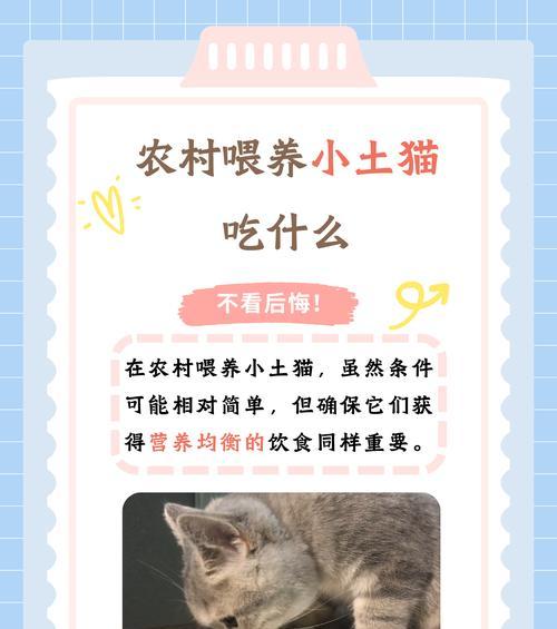 小花猫偏爱肉食？怎样让它接受猫粮？
