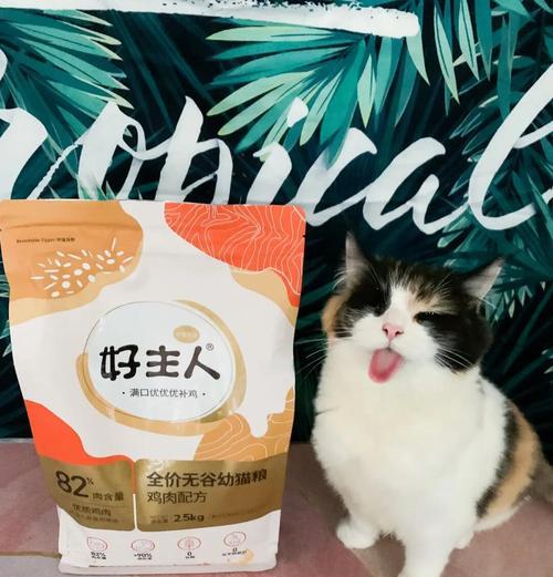 金标猫粮搭配什么食物更健康？