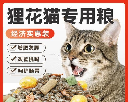 花猫日常猫粮选择有哪些?