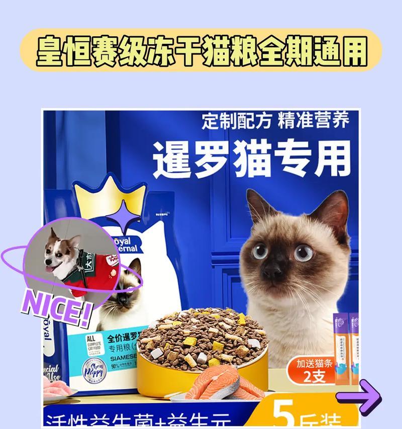 暹罗猫的饮食习惯是什么?应该选择哪种猫粮?