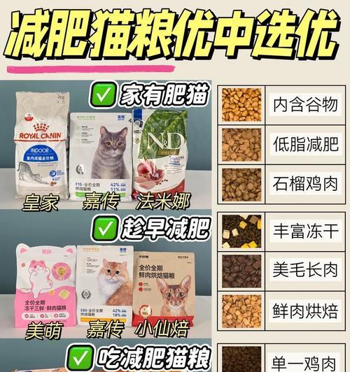 猫粮应该加什么肥？如何选择合适的猫粮增肥产品？