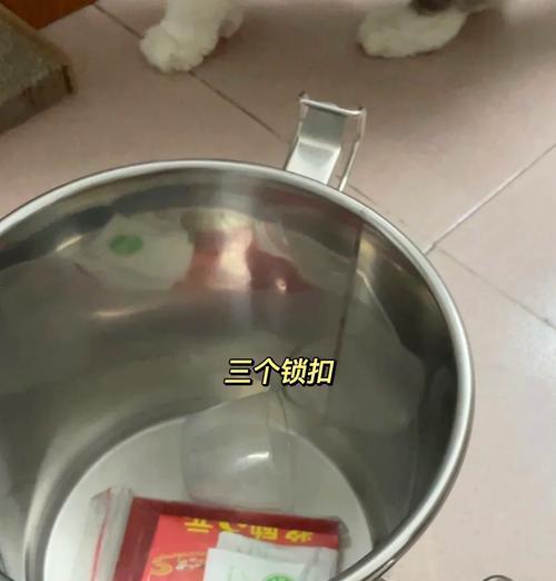用塑料袋装猫粮有哪些技巧？如何保持猫粮新鲜？