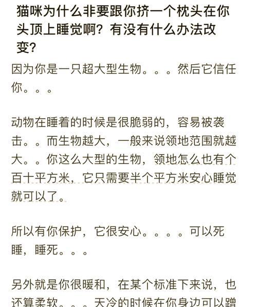 猫咪为何偏爱流水而不吃猫粮？可能的原因是什么？