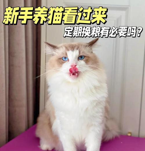 土猫换猫粮的正确方法是什么?