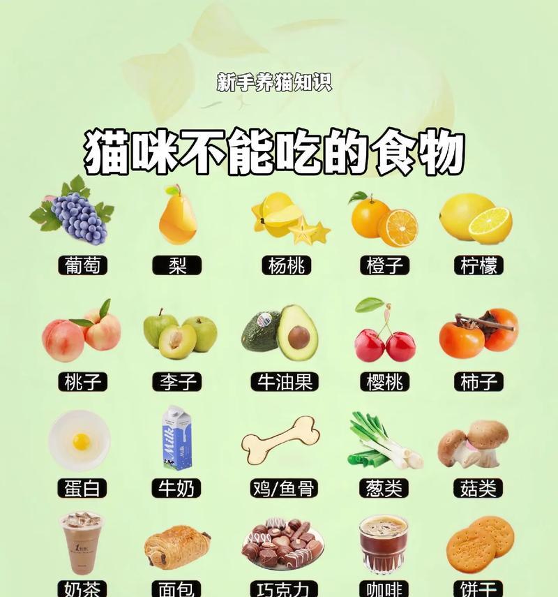 母猫食量减少会有什么影响?需要采取什么措施?