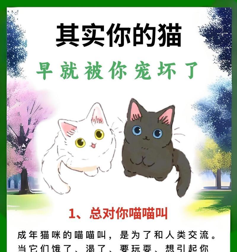 如何教育孩子正确看待宠物行为？猫咪偷吃猫粮的解决方法是什么？