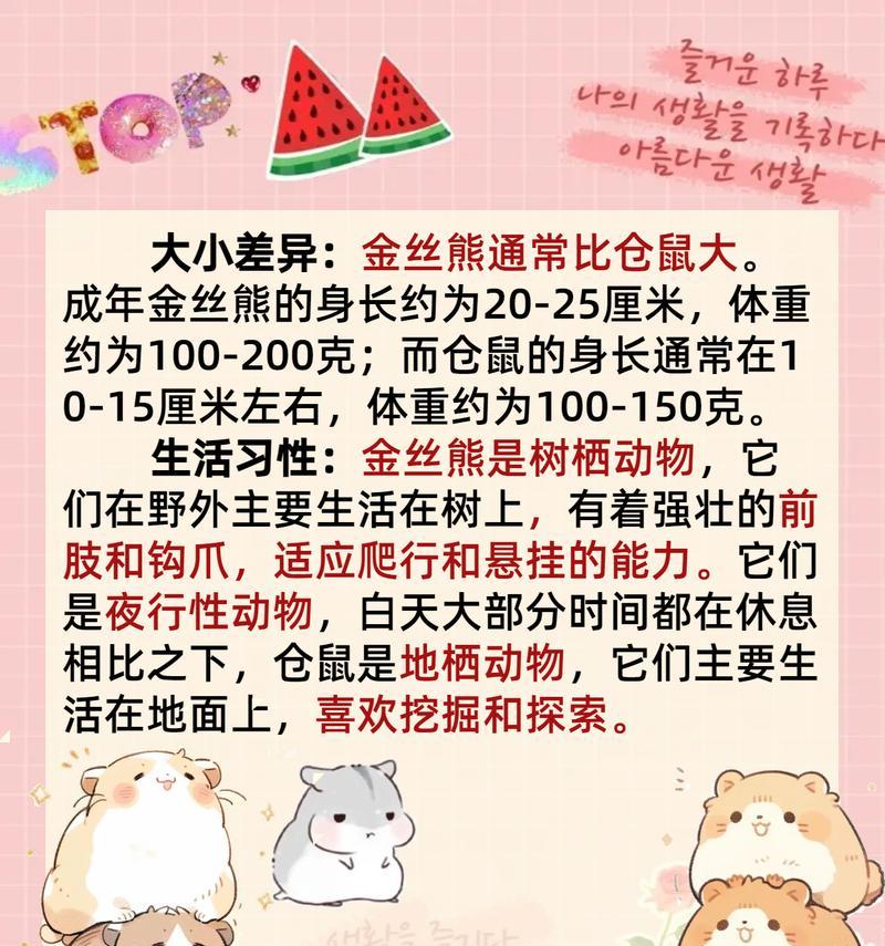 宠物店仓鼠挑选技巧有哪些？如何辨别仓鼠健康？