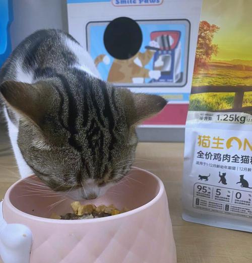 如何烘焙鸡肉猫粮使其美味?