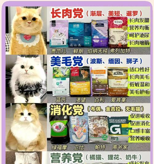 在猫店购买猫粮怎样更划算?有哪些省钱的小窍门?