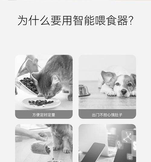 猫粮自动出粮器笼子怎么打开？操作步骤是什么？