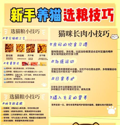 自制猫粮的保存技巧是什么？