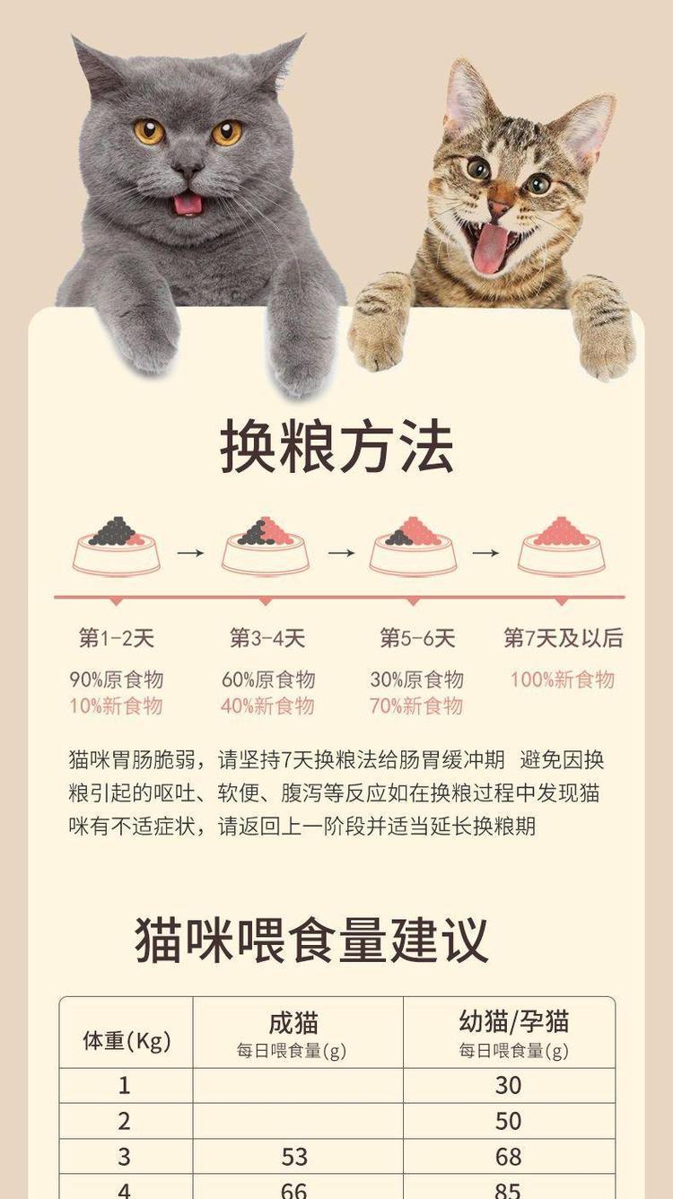 喂猫粮时是否需要额外喂水?