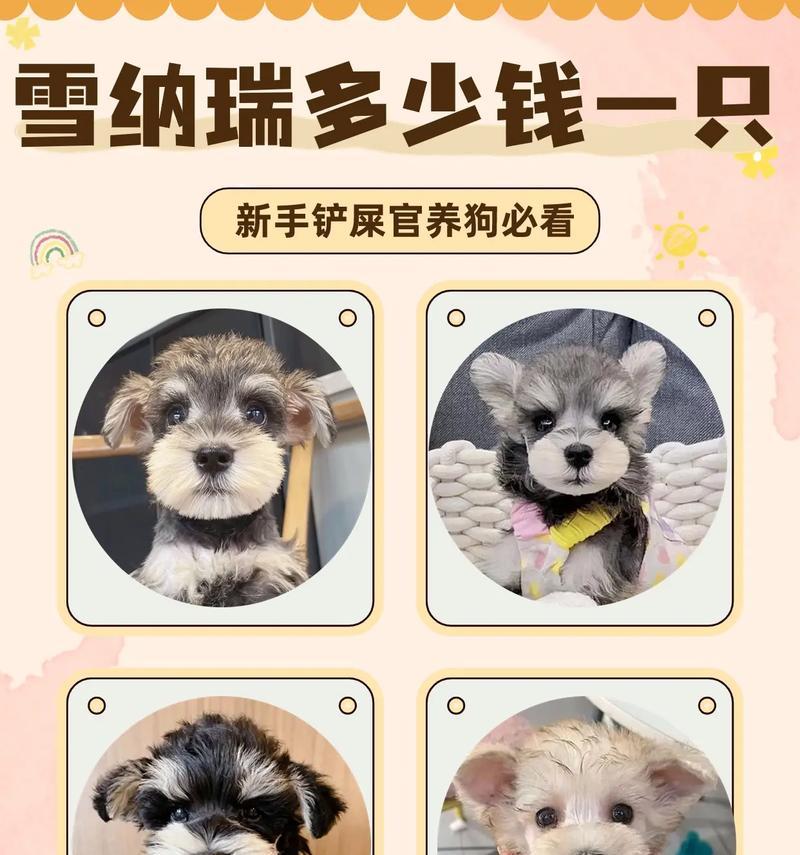 丰南地区雪纳瑞犬的价格是多少?