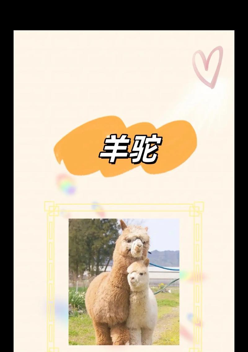 羊驼在粤语中是如何称呼的？