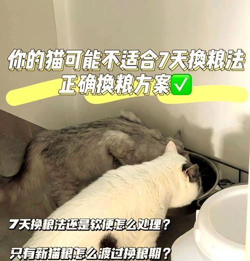 猫粮更换过多时的应对措施是什么？