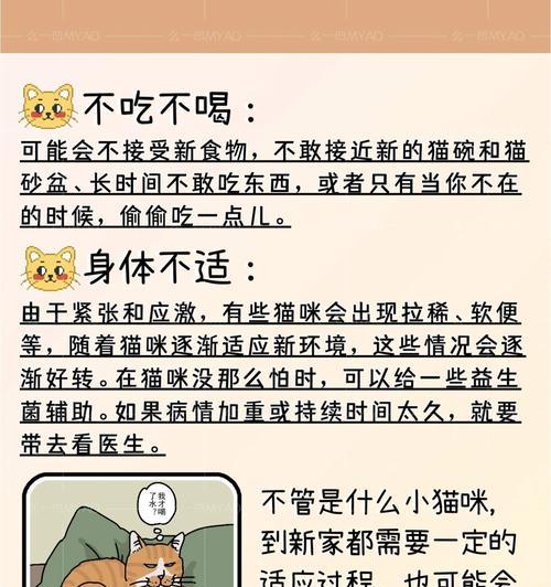 猫舍的猫不吃猫粮怎么办?解决猫舍喂养难题