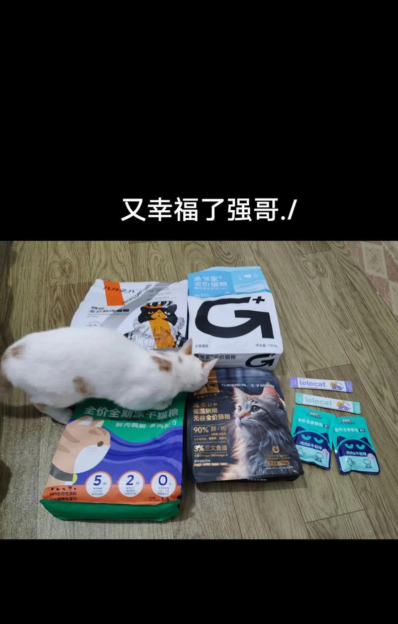 咸鱼怎么腌猫粮不会坏?腌制猫粮的正确方法是什么?