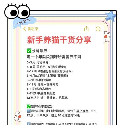 晚上喂猫猫粮会影响猫咪的睡眠吗?喂食时间对猫咪健康有何影响?