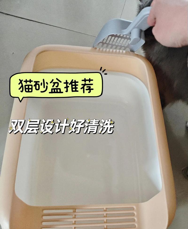 猫砂盆、猫粮和水的正确摆放位置是什么?