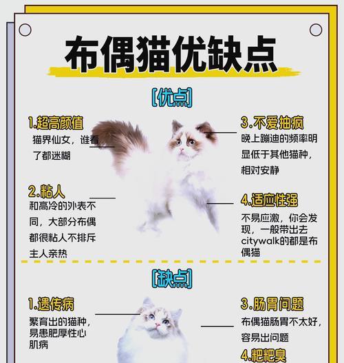 猫咪埋食猫粮的行为有何含义?