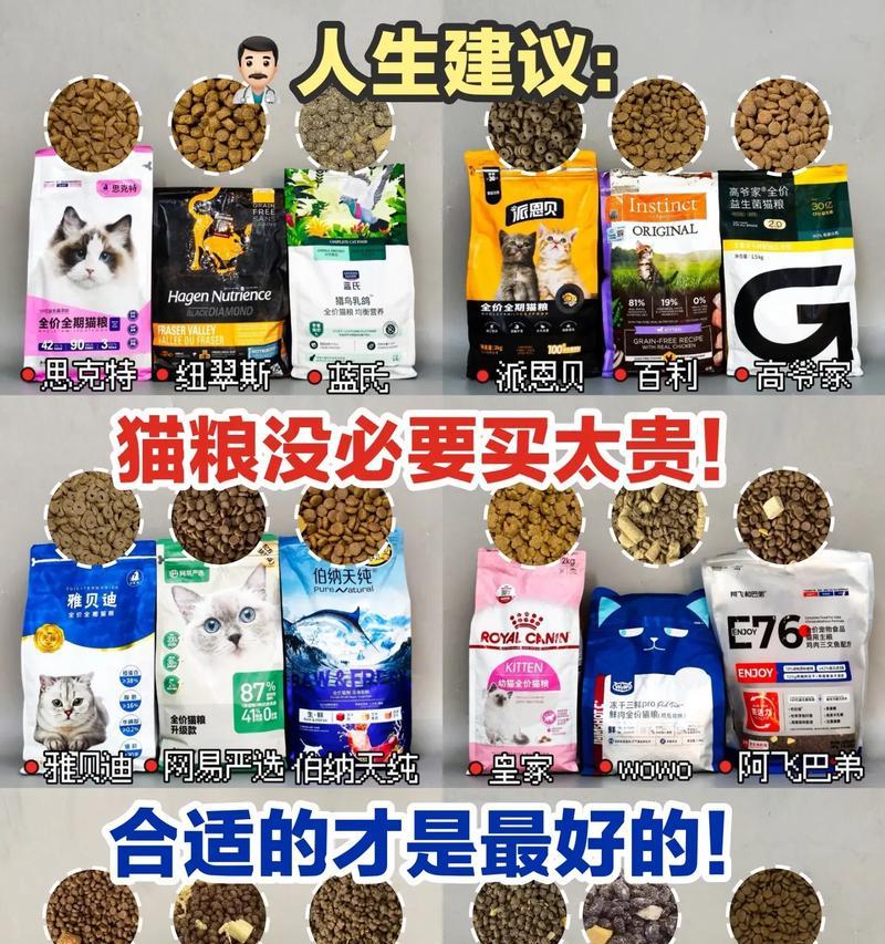 食用假猫粮后猫咪会有哪些反应?