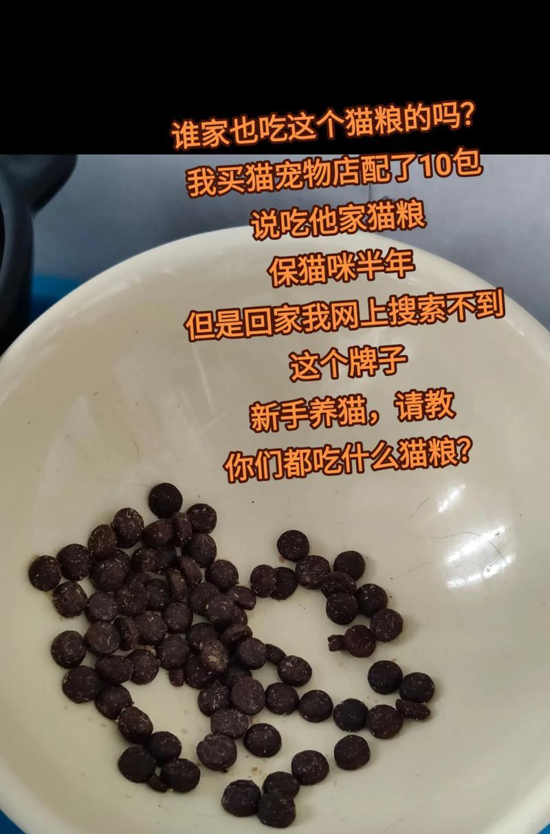 农村不喂猫粮,如何处理?