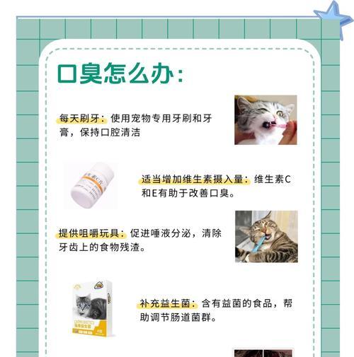 猫猫口臭如何选择猫粮?猫粮对口腔健康的影响是什么?