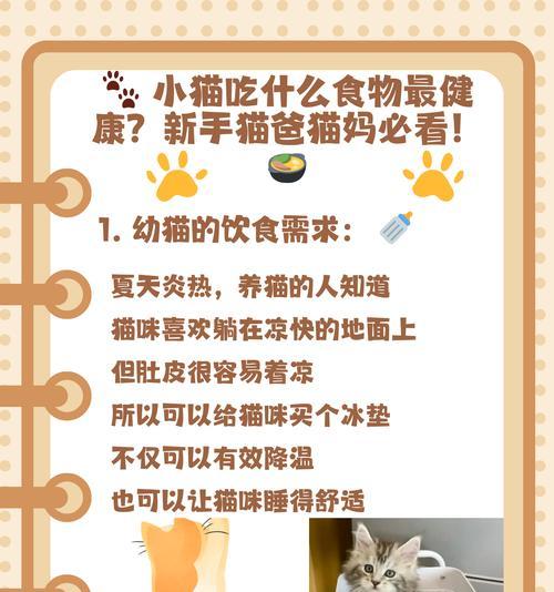 自己家的猫只吃猫粮怎么办?如何调整猫咪的饮食习惯?