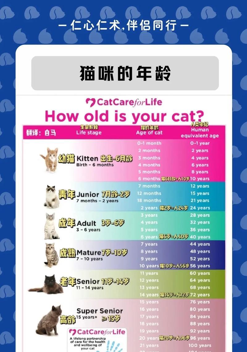 猫粮对猫牙齿的影响及原因?