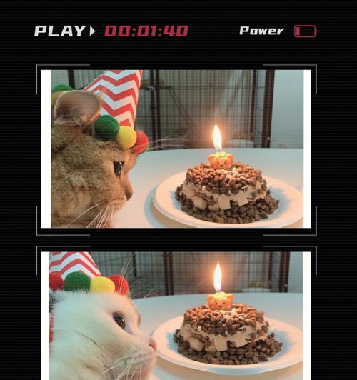 蛋糕猫粮的味道如何?