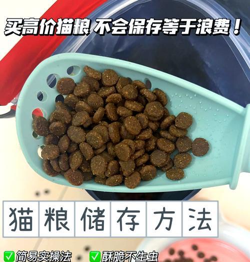 小猫长肉吃什么猫粮柏翠?如何帮助小猫健康成长?